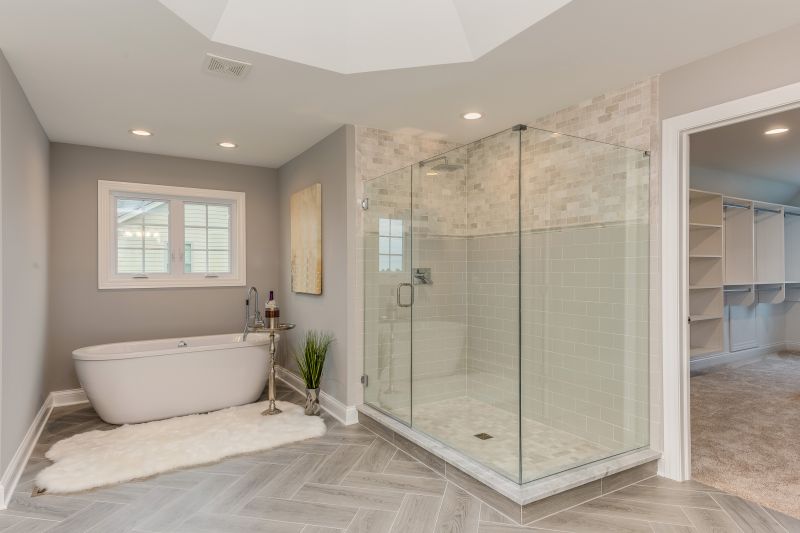 Modern Shower Area